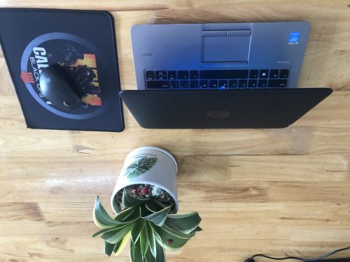 8813104deac5445bbde9c0c64047d090.jpg 8813104deac5445bbde9c0c64047d090.jpg