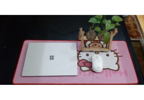 z2957709570750_6b89b84b2d398b32969190266eb4c4ef-800x555 z2957709570750_6b89b84b2d398b32969190266eb4c4ef-800x555